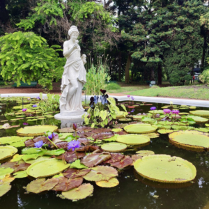 botanico pagina