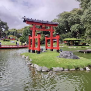 japones pagina
