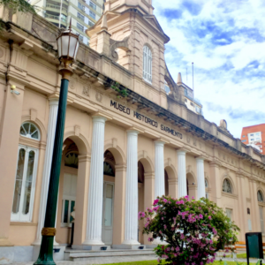 sarmiento PAGINA